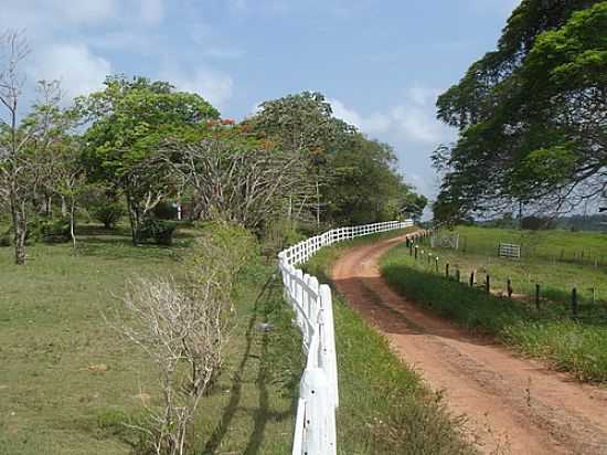 PRAIA DO FORTE-BA-ESTRADA DA PRAIA-FOTO:MARCELO S F - PRAIA DO FORTE - BA