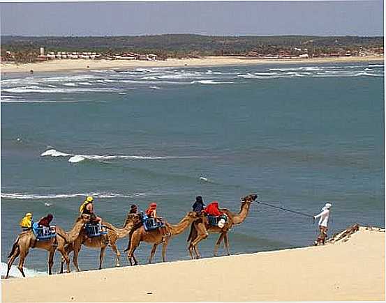 PASSEIO DE DROMEDRIO NA PRAIA DE GENIPABU-RN-FOTO:CLEBER LIMA - PRAIA DE GENIPABU - RN