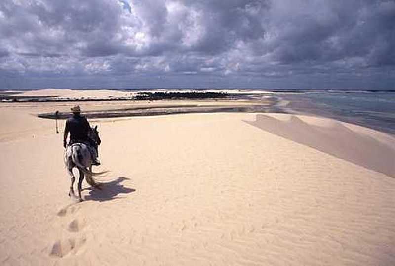 JERICOACOARA-CE- CAVALO NAS DUNAS-FOTO:TAVARES - JERICOACOARA - CE