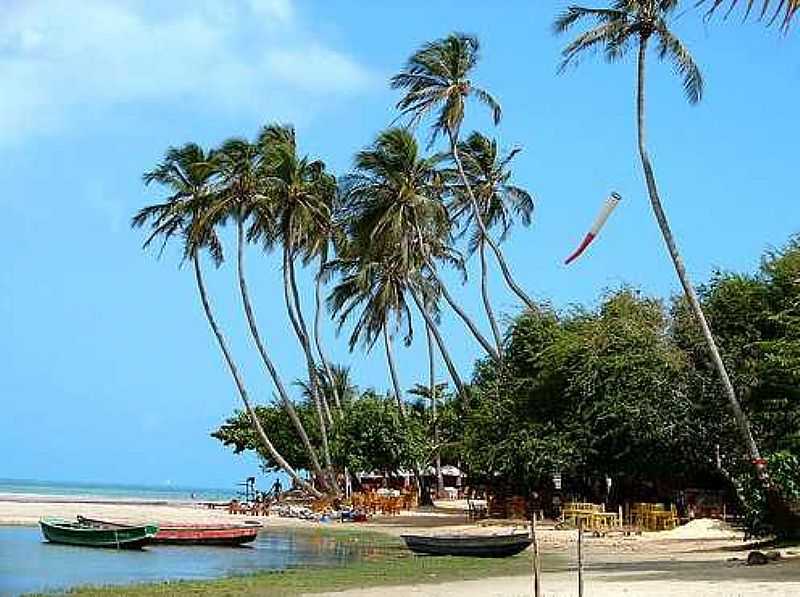 JERICOACOARA-CE-LINDOS COQUEIROS NA PRAIA-FOTO:DANI_RANGEL - JERICOACOARA - CE