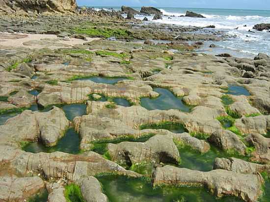 PARQUE NACIONAL DE JERICOACOARA-CE-FOTO:ALDZIO LIMA DE OLIV - JERICOACOARA - CE