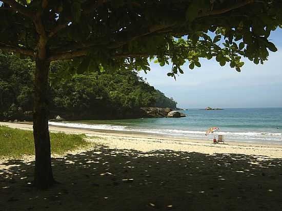 SOMBRA NA PRAIA DE CAMBUR-SP-FOTO:RTCARVALHO - CAMBURI - SP