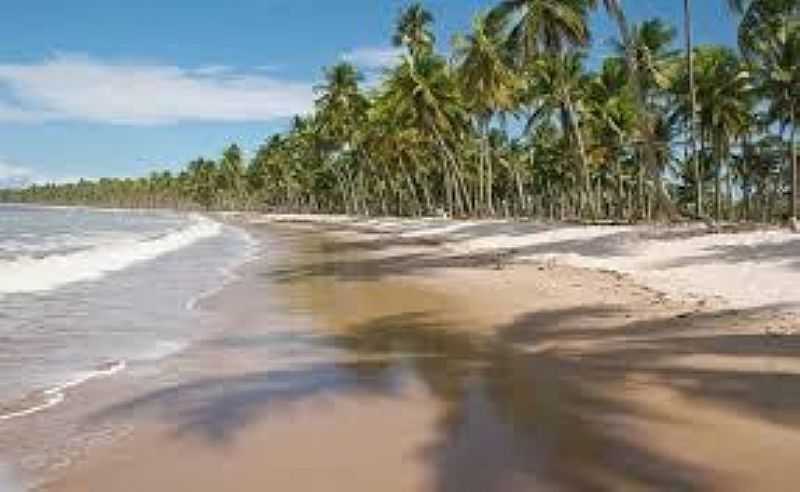 BOIPEBA-BA-COQUEIRAL NA PRAIA-FOTO:VIAJEAQUI.ABRIL.COM.BR  - BOIPEBA - BA