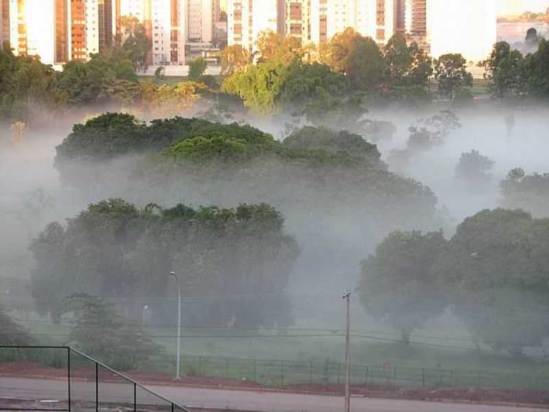 GUAS CLARAS-DF-FOGGY NO PARQUE-FOTO:PELOSI - GUAS CLARAS - DF