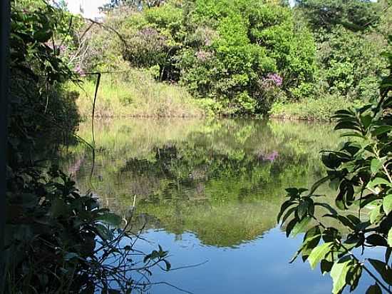 ESPELHO DGUA NO PARQUE DE GUAS CLARAS-FOTO:PELOSI - GUAS CLARAS - DF