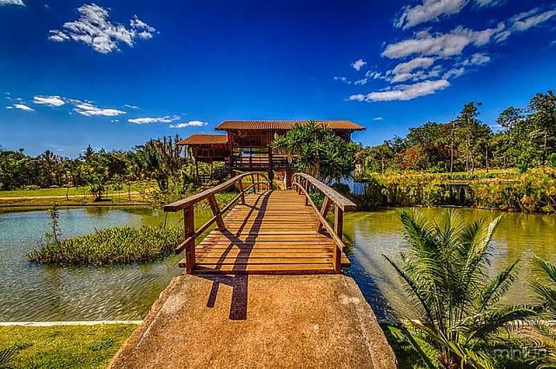 JARDIM BOTNICO-DF-PASSARELA NO LAGO-FOTO:QUEROPASSAGEM.COM.BR - JARDIM BOTNICO - DF