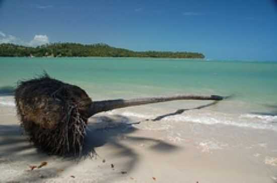 IMAGEM-FOTO:MAURICIO F. PINHO - PRAIA DOS CARNEIROS - PE