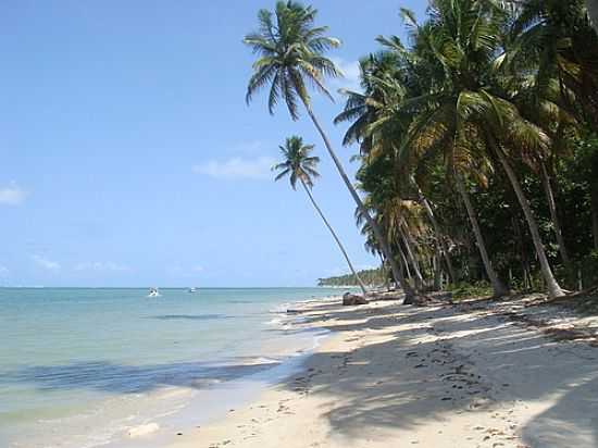 PRAIA DOS CARNEIROS-FOTO:AVSANTOS - PRAIA DOS CARNEIROS - PE