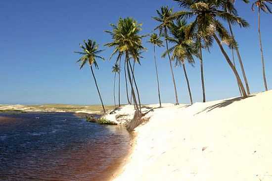 PRAIA DE PUNA - PRAIA DE PUNA - RN