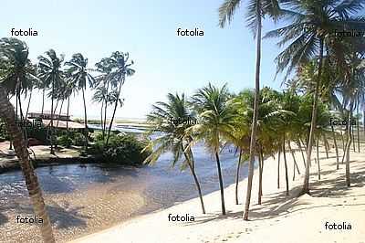 FOTO:ADROVANDO CLARO DE OLIVEIR - PRAIA DE PUNA - RN