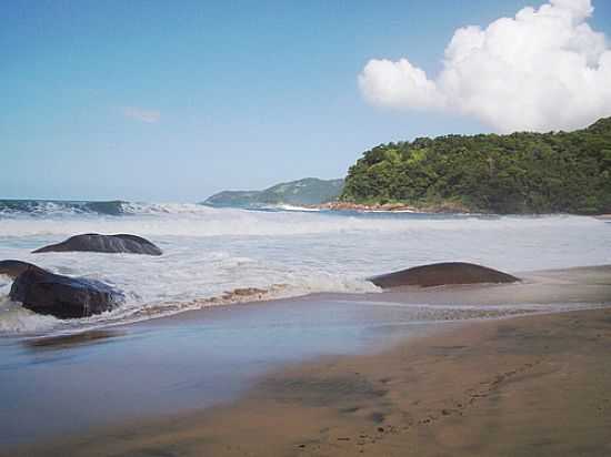 PRAIA BRAVA FOTO POR ZEDU  - TRINDADE - RJ