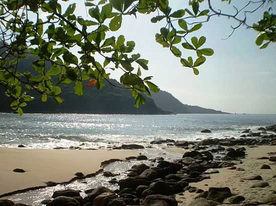 PRAIA BRAVA FOTO POR R.AUGUSTO SILVA  - TRINDADE - RJ