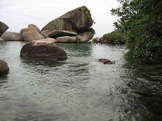 TRINDADE FOTO POR MAURI R MAHLING  - TRINDADE - RJ