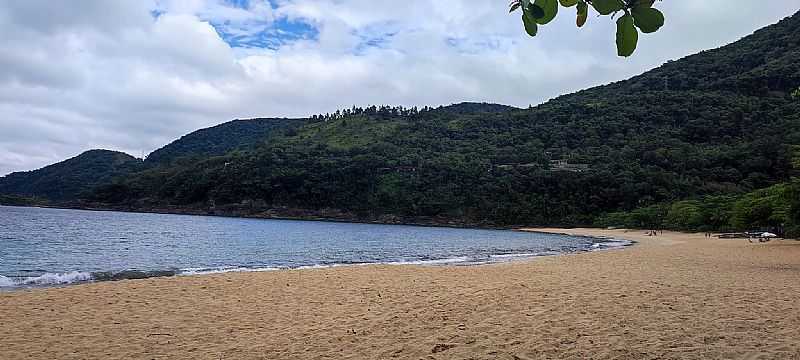 TOQUE TOQUE GRANDE - SP - TOQUE TOQUE GRANDE - SP