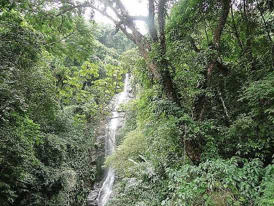 CACHOEIRA TOQUE-TOQUE
FOTO JOO SAVIOLI - TOQUE TOQUE GRANDE - SP