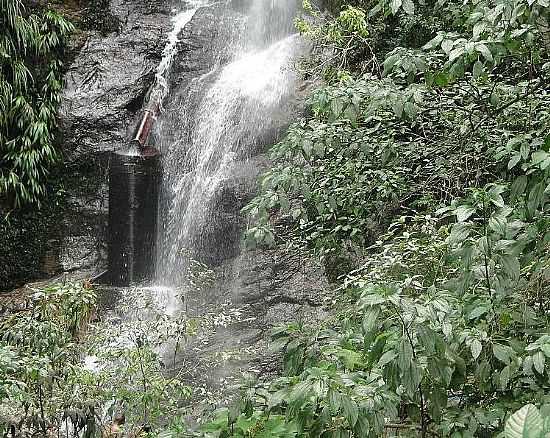 CACHOEIRA TOQUE-TOQUE
FOTO JOO SAVIOLI - TOQUE TOQUE GRANDE - SP