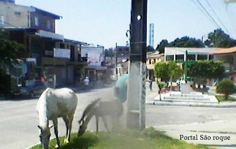 SO ROQUE DO PARAGUAU - BA FOTO PORTAL SO ROQUE - SO ROQUE DO PARAGUAU - BA