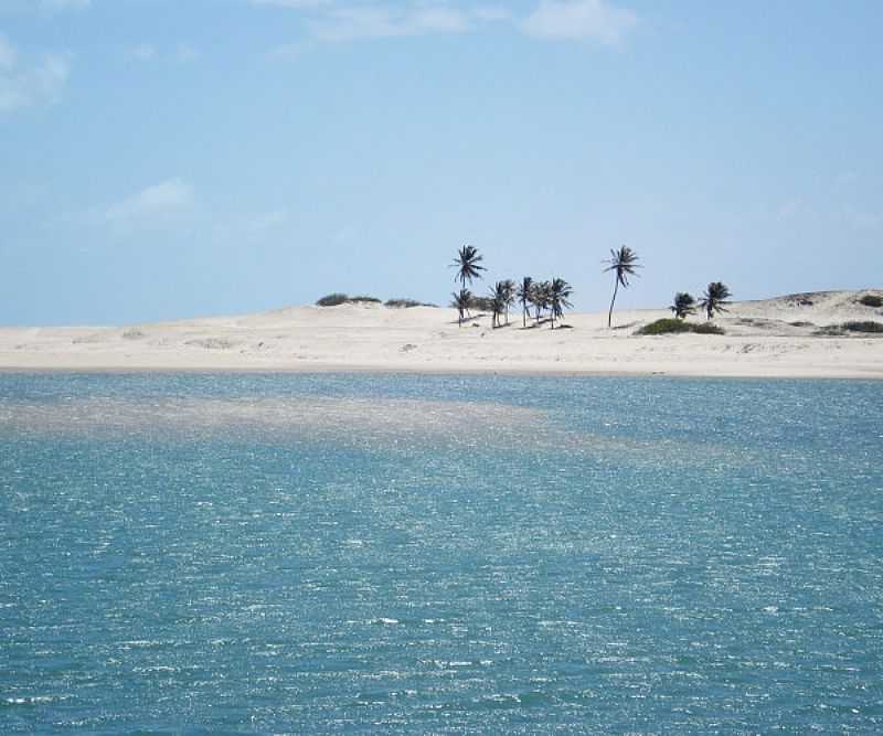 GUAS BELAS(PRAIA)-CE-COQUEIROS NA PRAIA-FOTO:WWW.CEARAROTAS.COM.BR - GUAS BELAS (PRAIA) - CE