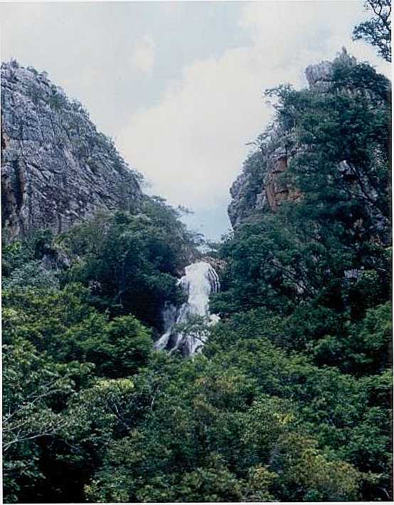 CACHOEIRA SO JOO DO BONITO, POR GABRIELLA - MATA VERDE - MG