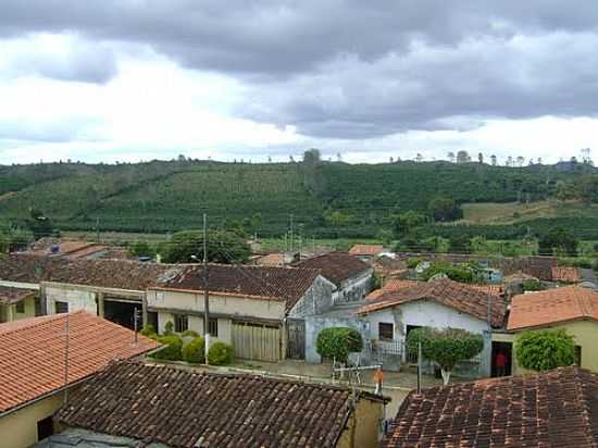 VISTA PARCIAL DA CIDADE AO FUNDO ROA DE CAF-FOTO:TIAONEIVA - MATA VERDE - MG
