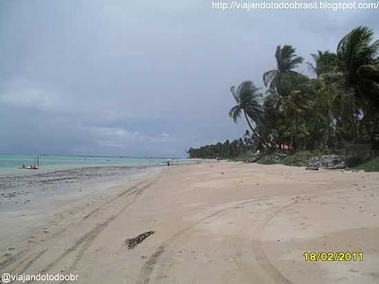 PRAIA DE IPIOCA-AL-FOTO:SERGIO FALCETTI - IPIOCA - AL