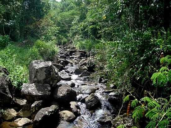 CACHOEIRA EM BARRO PRETO-BA-FOTO:DANIEL DUARTE - BARRO PRETO - BA