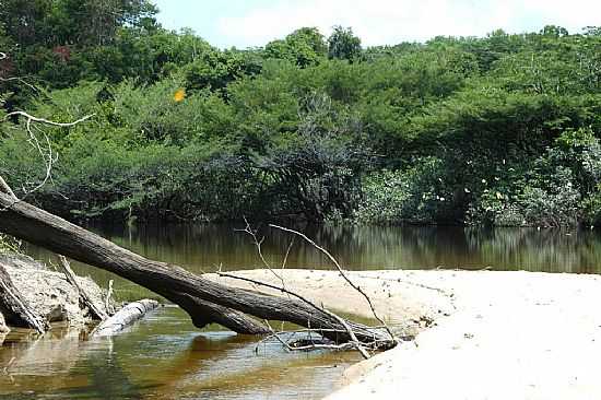 MATA E O RIO XIXUA EM RESERVA XIXUA-XIPARIN-AM-FOTO:METTE IRENE ANDERSEN - RESERVA XIXUA-XIPARIN - AM