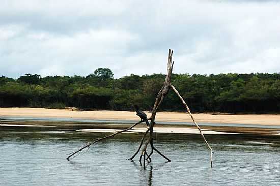 BELEZAS DO RIO JAUAPERI EM RESERVA XIXUA-XIPARIN-AM-FOTO:METTE IRENE ANDERSEN - RESERVA XIXUA-XIPARIN - AM