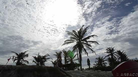 PRAIA DO CANTO VERDE-CE-ENTARDECER NOS COQUEIROS DA PRAINHA-FOTO:ATTILA RIVERA - PRAIA DO CANTO VERDE - CE