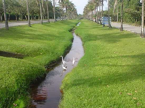 AVENIDA DA RIVIERA-FOTO:HUGO ROSIN SOBRINHO - RIVIERA DE SO LOURENO - SP