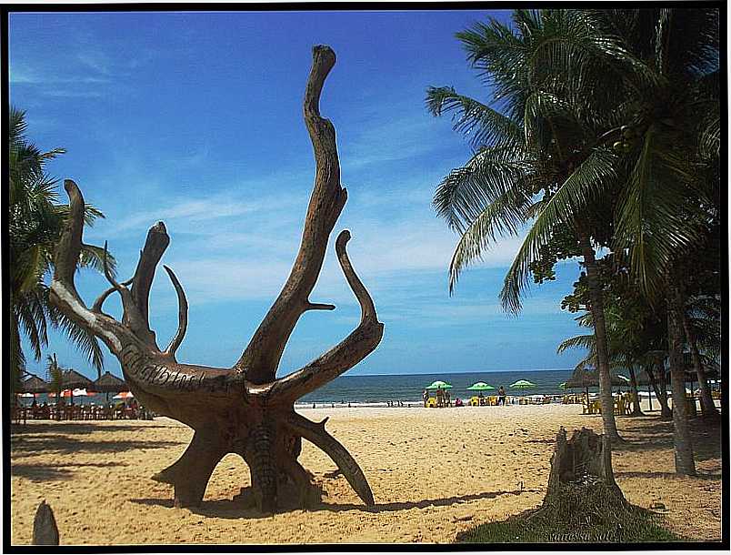 GUAIBIM-BA-ESCULTURA DE RVORE NA PRAIA-FOTO:CRIOULLA OLIVEIRA - GUAIBIM - BA