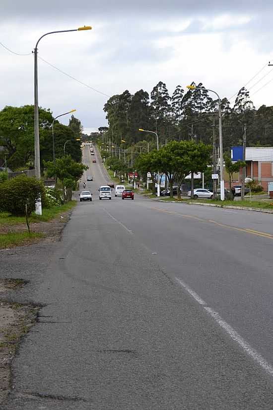 ANA RECH-RS-AVENIDA RIO BRANCO-FOTO:WALTER PEDRON MOSCHE - ANA RECH - RS