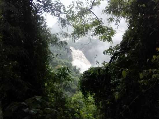 CACHOEIRA VU DA NOIVA, POR PAOLA ROCHA - GALPOLIS - RS