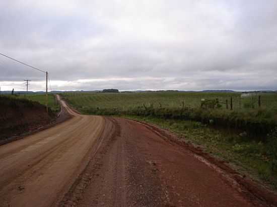 REA DO FUTURO AEROPORTO DE CARGAS EM VILA OLIVA-RS-FOTO:MRAIMANN - VILA OLIVA - RS