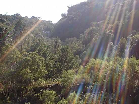 CACHOEIRA DA BARRAGEM DA PASTA EM VILA OLIVA-RS-FOTO:MRAIMANN - VILA OLIVA - RS