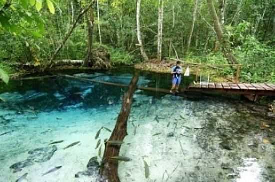 FAZENDA RECANTO ECOLGICO LAGOA AZUL EM VILA DE BOM JARDIM-MT - VILA DE BOM JARDIM - MT