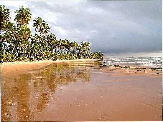 TRECHO DA ORLA DE BARRA GRANDE, POR AMARLIO PITGORAS - BARRA GRANDE - BA