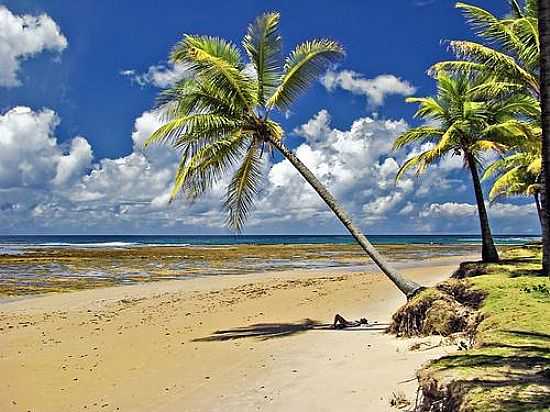 BARRA GRANDE FOTO
POR AURO QUEIROZ (PANORAMIO) - BARRA GRANDE - BA