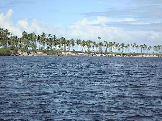 ILHA DE COMANDATUBA
FOTO POR RODRIGO ZANOTELLI - ILHA DE COMANDATUBA - BA