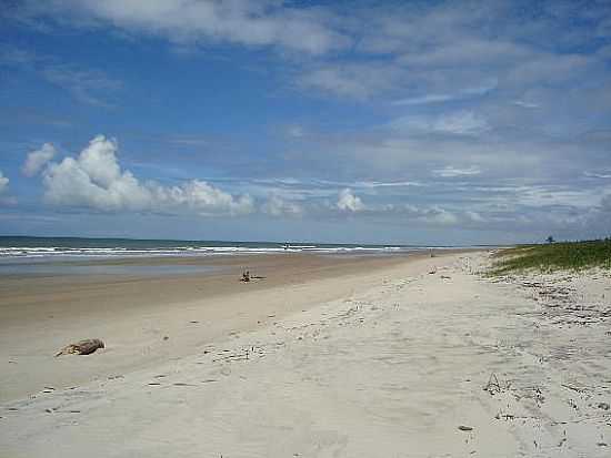 ILHA DE COMANDATUBA
FOTO POR RODRIGO ZANOTELLI - ILHA DE COMANDATUBA - BA