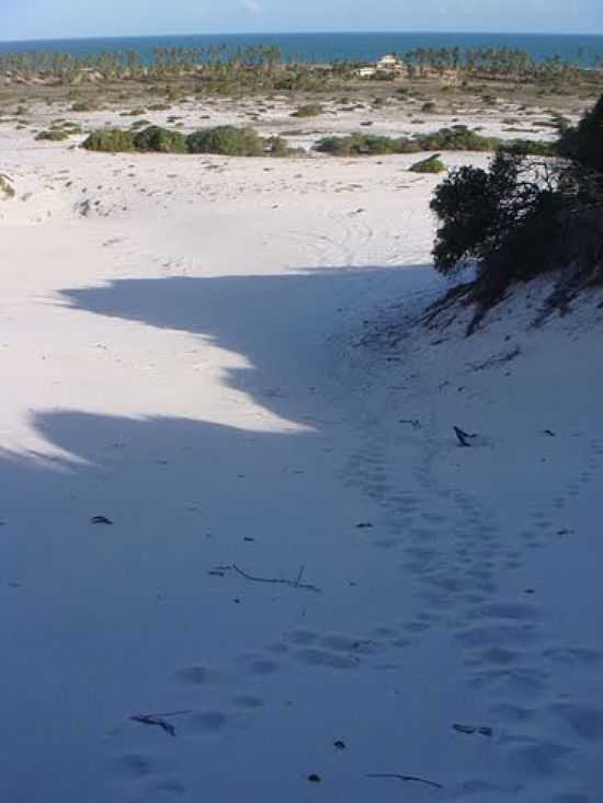 DUNAS NA PRAIA PORTO DE SAUPE-FOTO:MARION THIEME - PRAIA PORTO DO SAUPE - BA