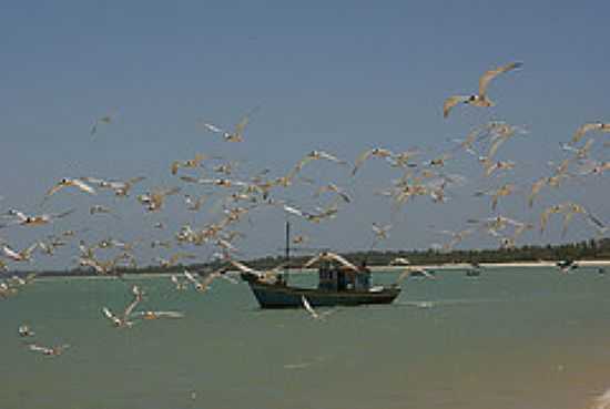 BARCO PESQUEIRO-FOTO:HAROLDO TROMBETTA - PRAIA DA PONTA DO CORUMBA - BA