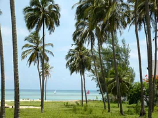 JANGADAS NO CUMBUCO-FOTO:OTHON FARIAS - PRAIA DE CUMBUCO - CE