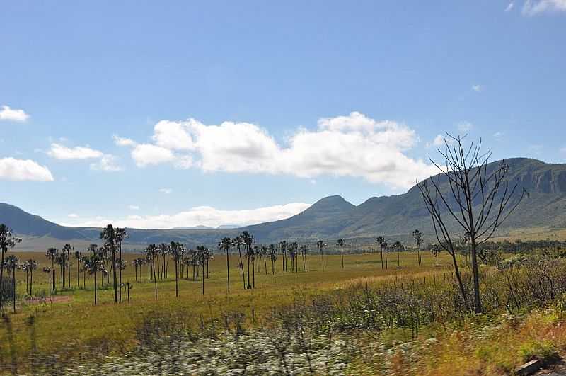 SO JORGE-GO-JARDIM DE MAYTREA-PARQUE NACIONAL DA CHAPADA DOS VEADEIROS-FOTO:P. SANTOS  - SO JORGE - GO