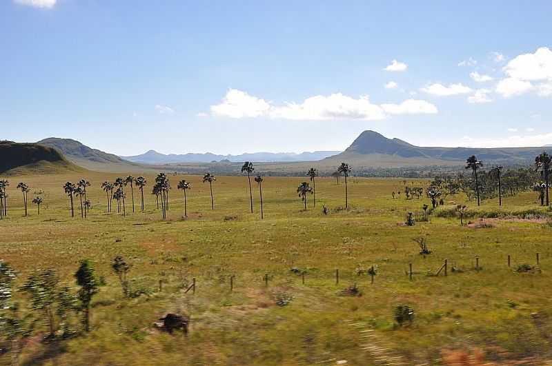 SO JORGE-GO-JARDIM DE MAYTREA-PARQUE NACIONAL DA CHAPADA DOS VEADEIROS-FOTO:P. SANTOS - SO JORGE - GO