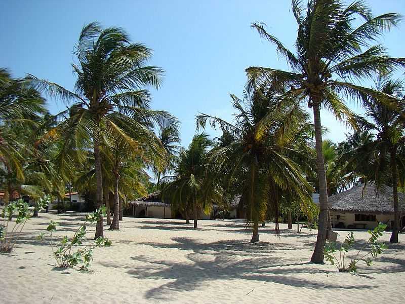 BARRA GRANDE-PI-COQUEIROS E CHALS NA PRAIA-FOTO:EDILSON MORAIS BRITO - BARRA GRANDE - PI