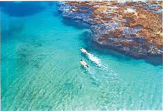 PISCINA NATURAL EM TAIPUS DE FORA-FOTO:ONZE11. - PRAIA TAIPU DE FORA - BA