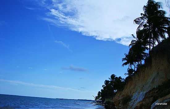 FALSIA NA PRAIA CARRO QUEBRADO-AL-FOTO:ALINE VALE - PRAIA CARRO QUEBRADO - AL