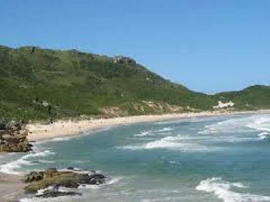 PRAIA DO PINHO-FOTO:FATONOVO. - PRAIA DO PINHO - NATURALISTA - SC