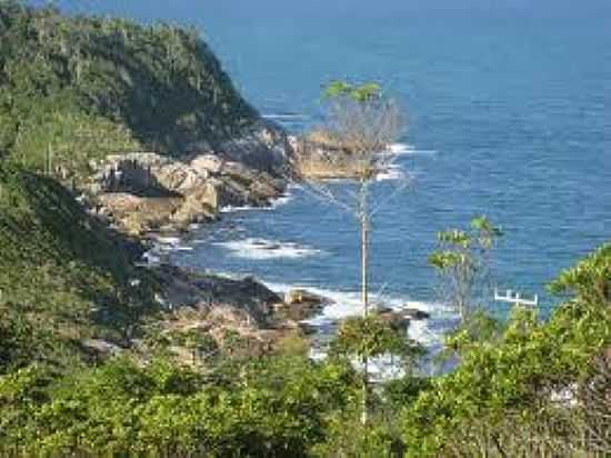 VISTA DA PRAIA DO PINHO-FOTO:FLICKR. - PRAIA DO PINHO - NATURALISTA - SC